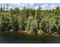 19687 Kawagama North Shore, Algonquin Highlands, ON P0A1E0 Photo 34