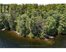 19687 Kawagama North Shore, Algonquin Highlands, ON P0A1E0 Photo 36