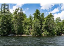 19687 Kawagama North Shore, Algonquin Highlands, ON P0A1E0 Photo 37