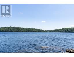 19687 Kawagama North Shore, Algonquin Highlands, ON P0A1E0 Photo 38