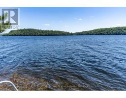 19687 Kawagama North Shore, Algonquin Highlands, ON P0A1E0 Photo 39