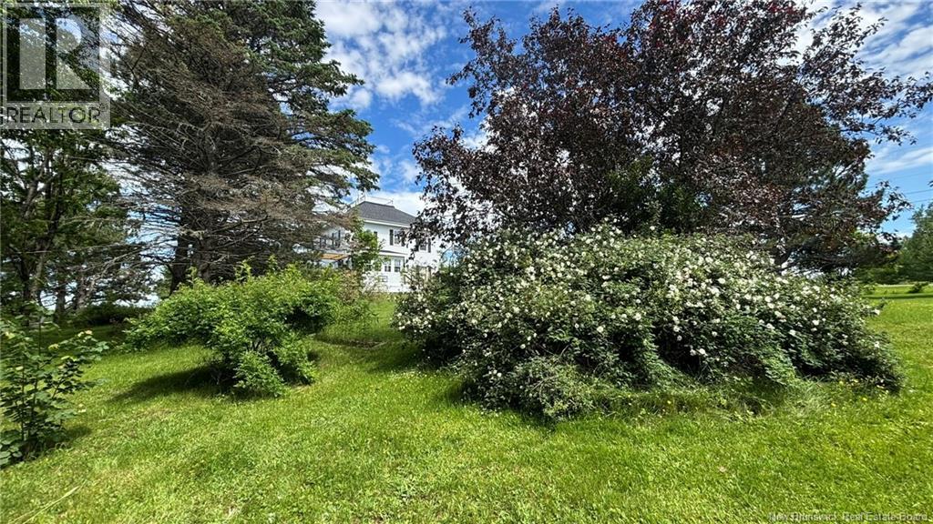 537 Trafalgar Road - 50