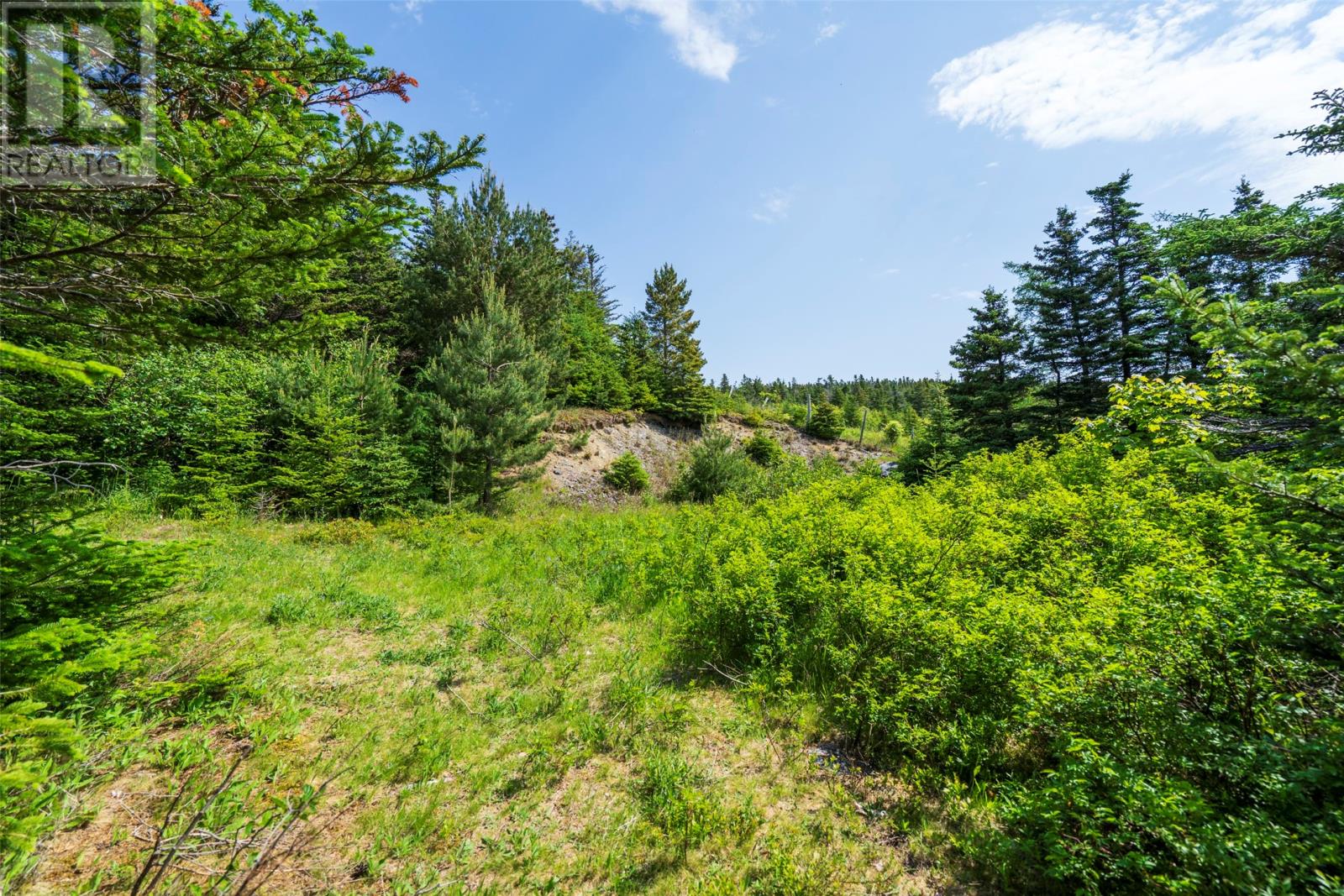 40 Godsells Road - 9