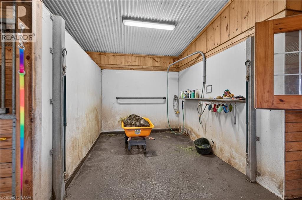 Thumbnail 13