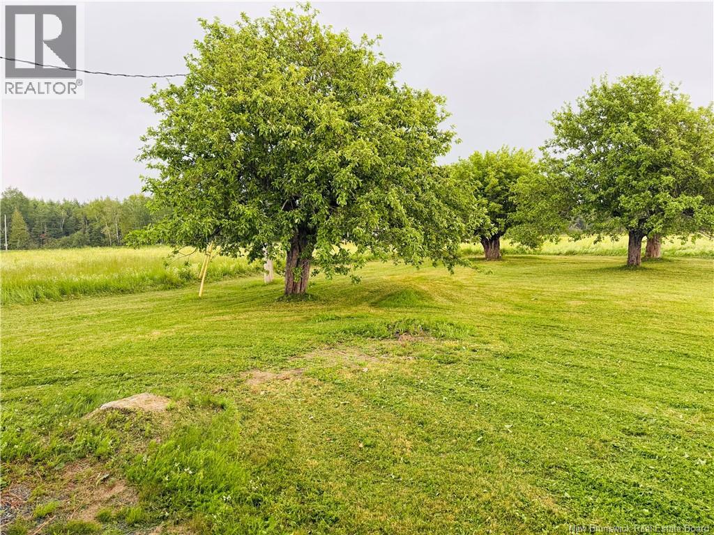 102 Little Branch Road - 31