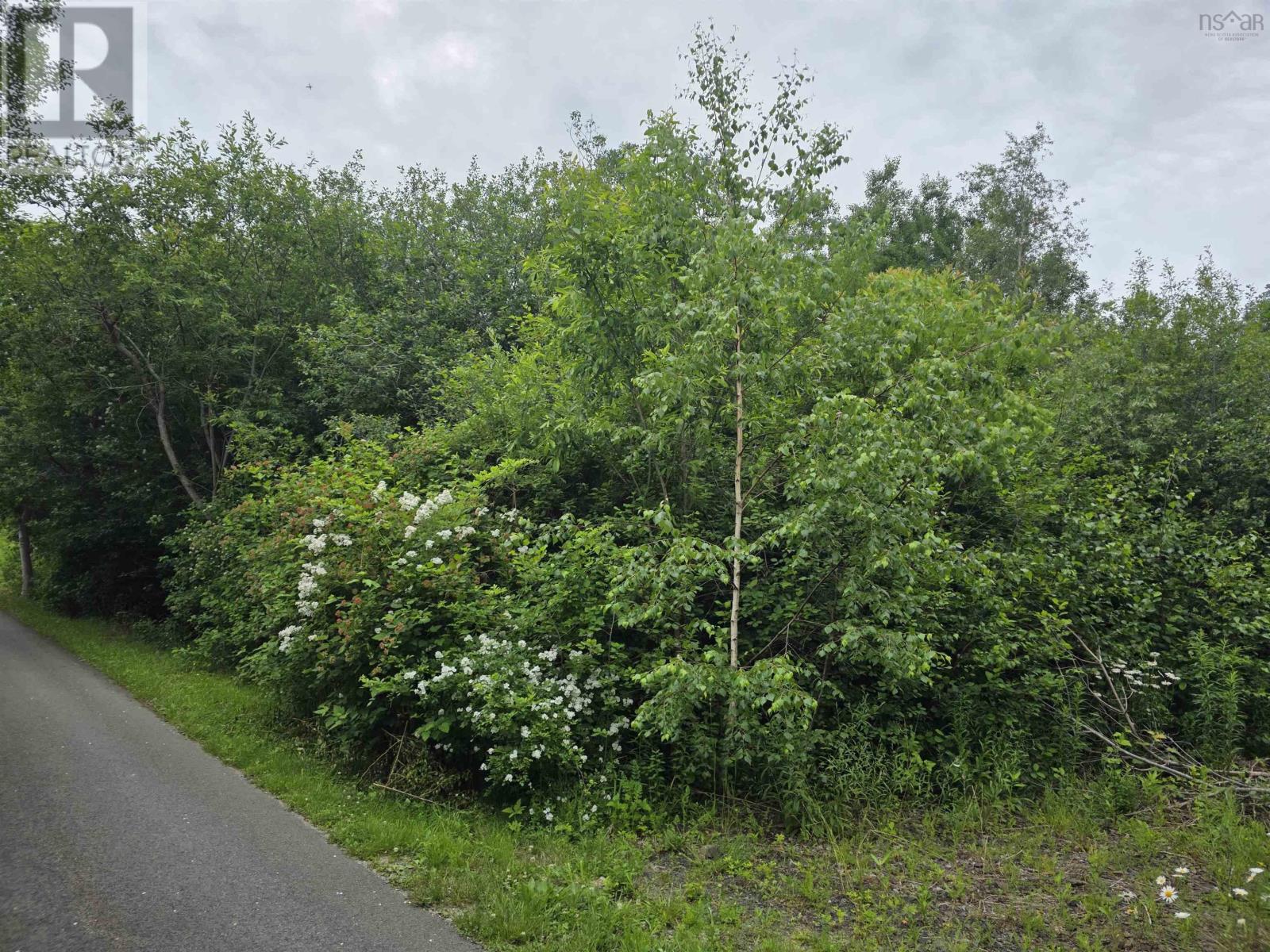 Property 9 of 16 of Lots NO 1 Highway