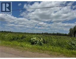 Vacant Lot Murray Road, Browns Yard, NB E4T1W3 Photo 6