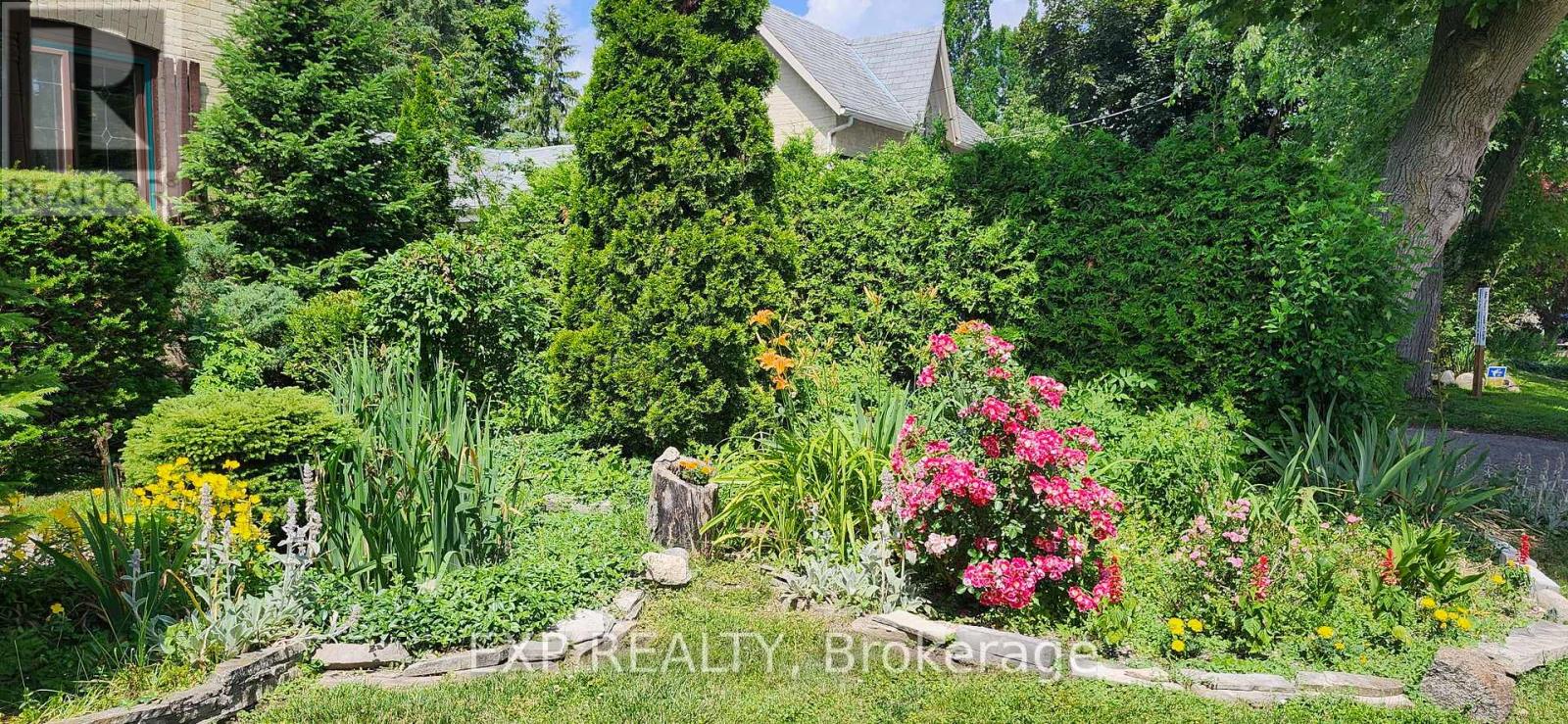 181 WILDWOOD AVENUE - 2