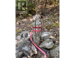 Lot (pid 70241864) Wellington Road, Buckfield, NS B0T1E0 Photo 6