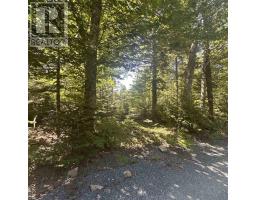 Lot (pid 70241864) Wellington Road, Buckfield, NS B0T1E0 Photo 7