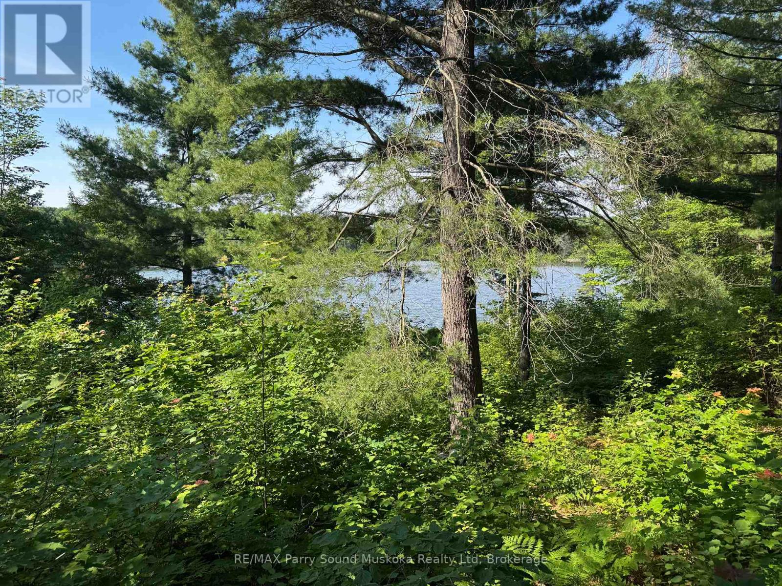 7 BOURBONNAISE ISLAND - 2