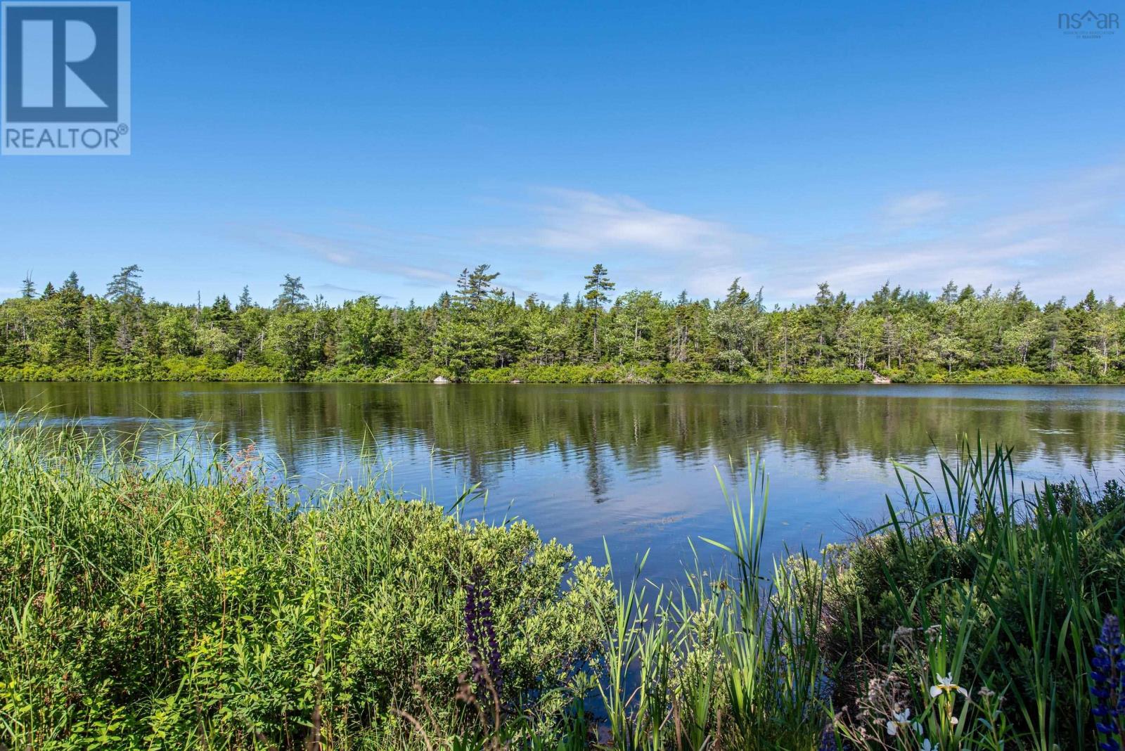 46 Silver Maple Drive - 2
