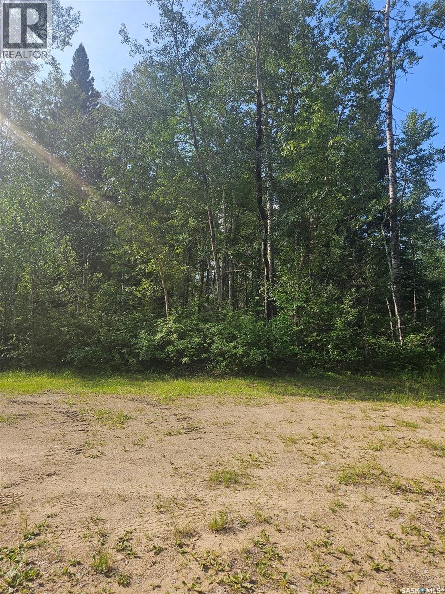 908 Lynx PLACE - photo 2
