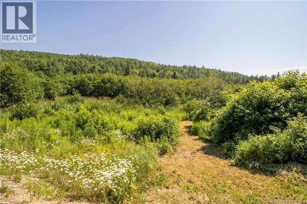 11464 Route 114 - Image 44