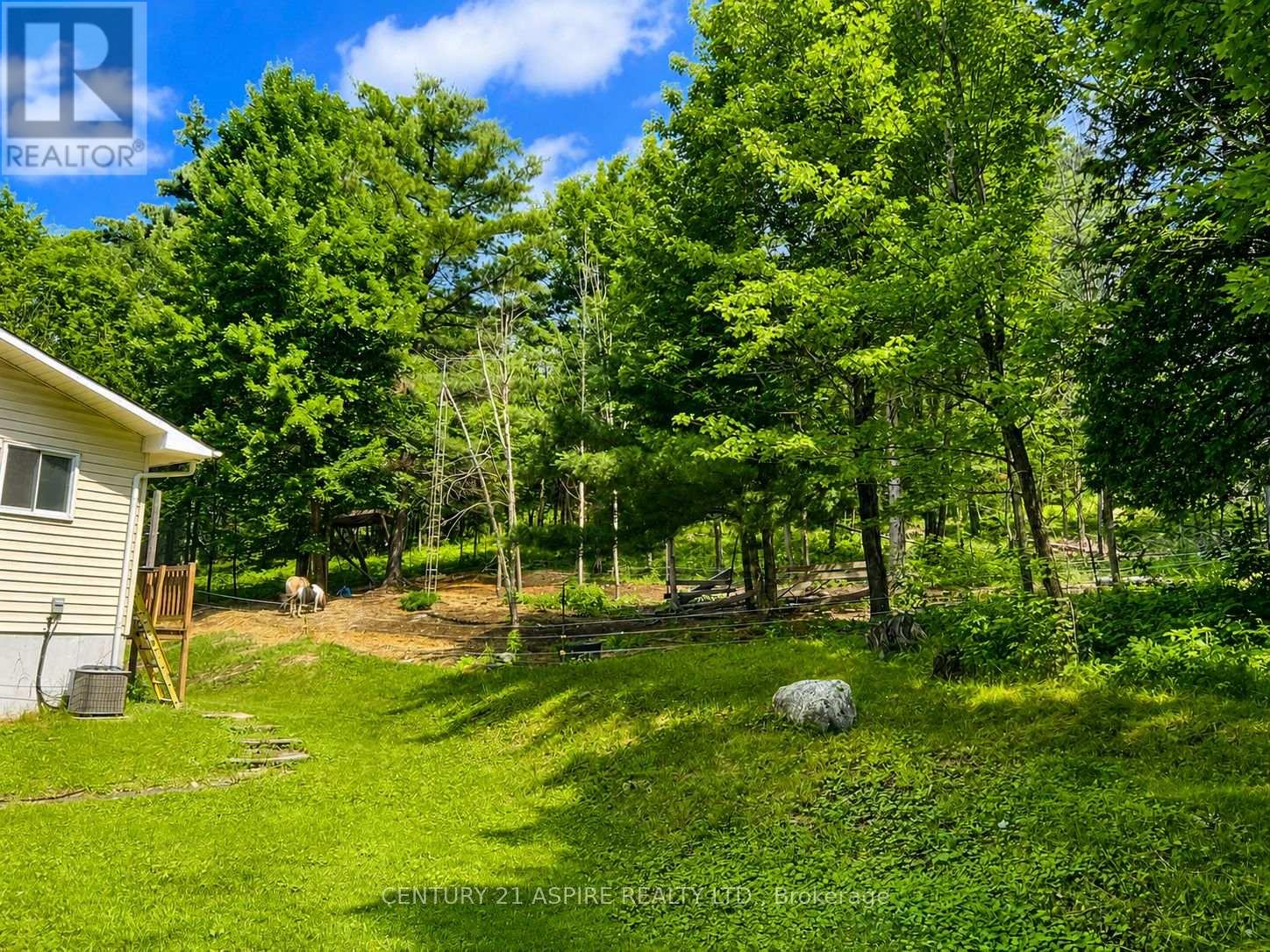 202 BRYDGES ROAD - 31