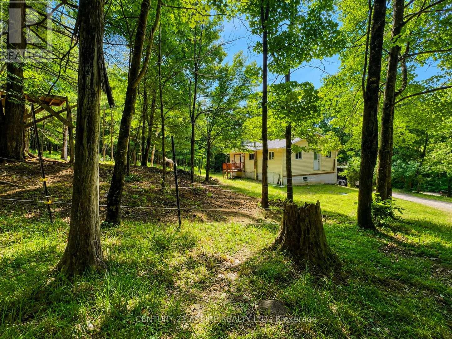 202 BRYDGES ROAD - 32