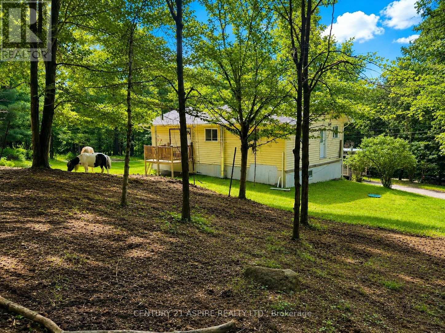 202 BRYDGES ROAD - 34