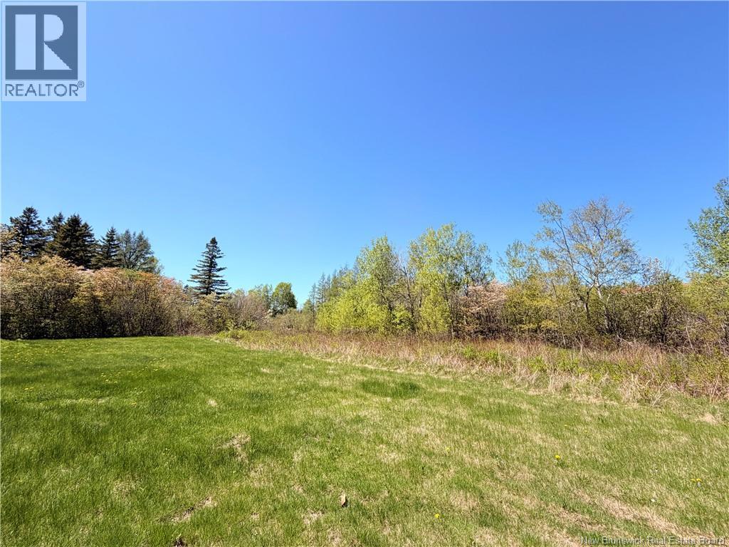 2843 King George Hwy - 16
