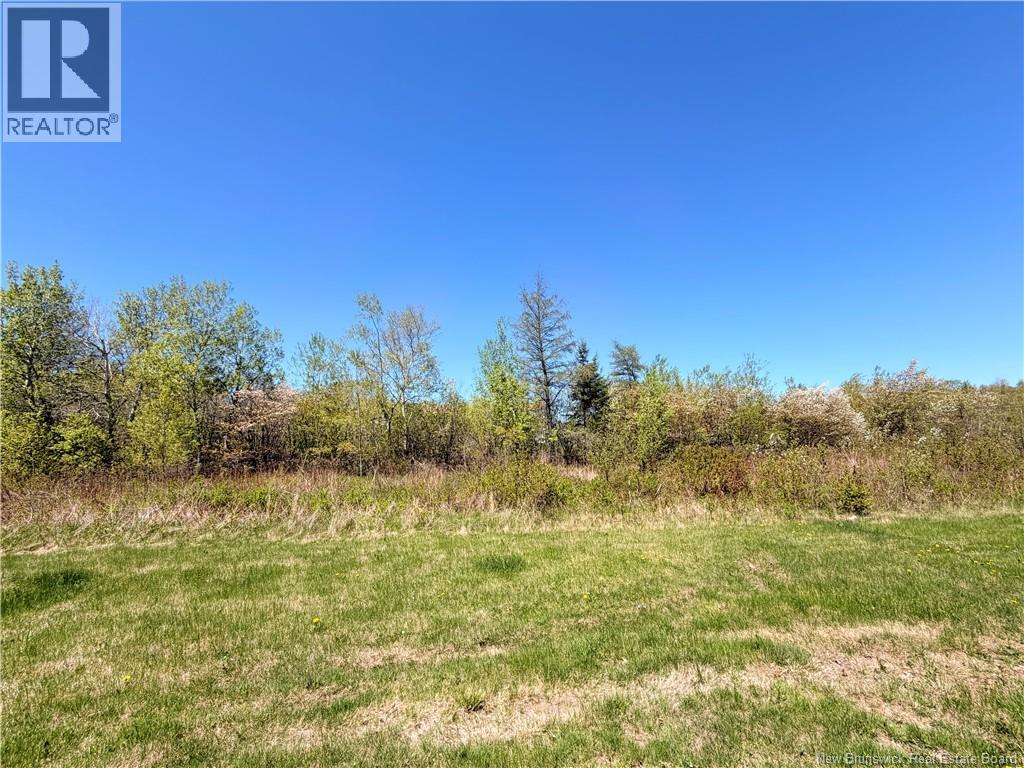 2843 King George Hwy - 17