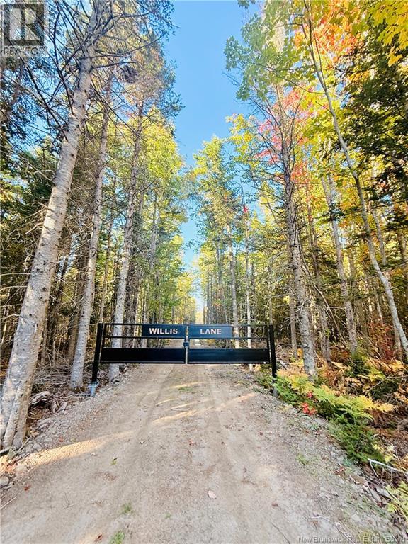731 Pointe aux Carr Road - 1