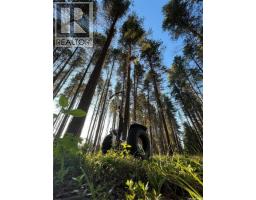 Cypress Hills Segway Tours, Cypress Hills Provincial Park, SK S0N1N0 Photo 12