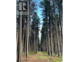 Cypress Hills Segway Tours, Cypress Hills Provincial Park, SK S0N1N0 Photo 27