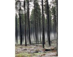 Cypress Hills Segway Tours, Cypress Hills Provincial Park, SK S0N1N0 Photo 28