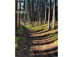 Cypress Hills Segway Tours, Cypress Hills Provincial Park, SK S0N1N0 Photo 26