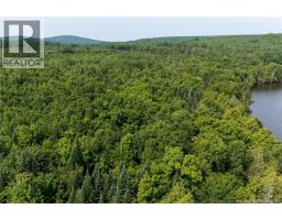 N/a Mud Lake Road, Upper Skiff Lake, NB E6H1R7 Photo 11