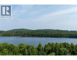 N/a Mud Lake Road, Upper Skiff Lake, NB E6H1R7 Photo 15