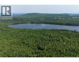N/a Mud Lake Road, Upper Skiff Lake, NB E6H1R7 Photo 16