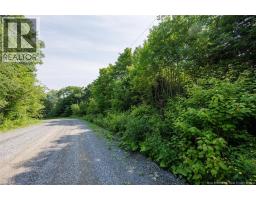N/a Mud Lake Road, Upper Skiff Lake, NB E6H1R7 Photo 6