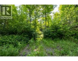 N/a Mud Lake Road, Upper Skiff Lake, NB E6H1R7 Photo 7