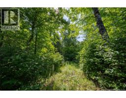 N/a Mud Lake Road, Upper Skiff Lake, NB E6H1R7 Photo 8