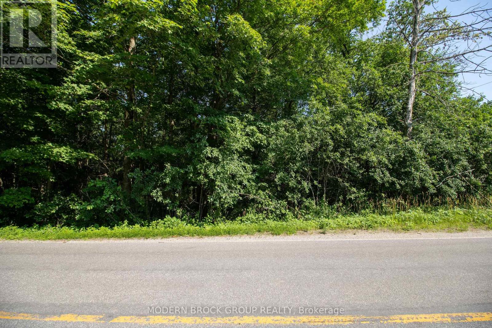 0 GRAHAM LAKE ROAD, Front of Yonge — photo 6
