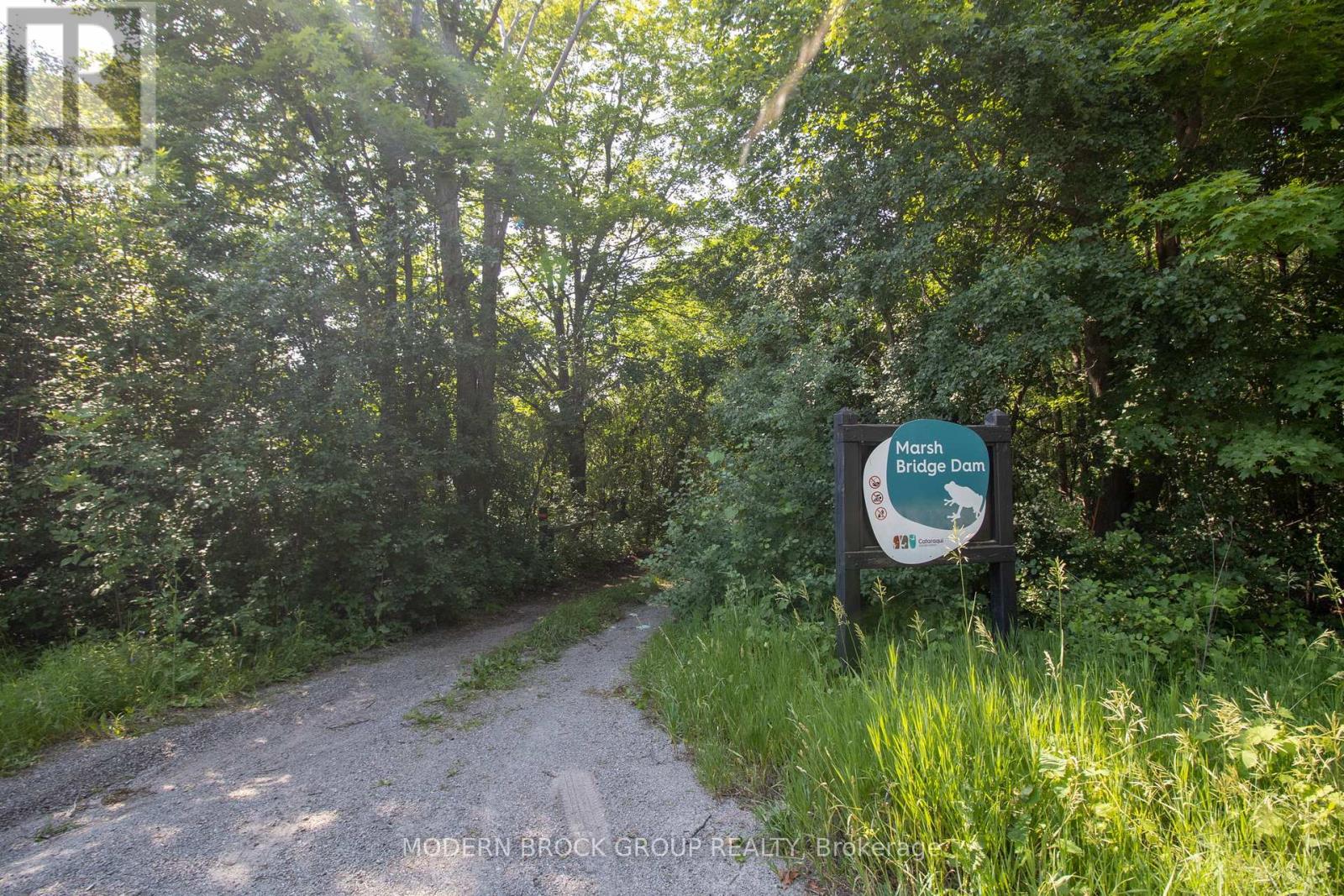 0 GRAHAM LAKE ROAD, Front of Yonge — photo 7