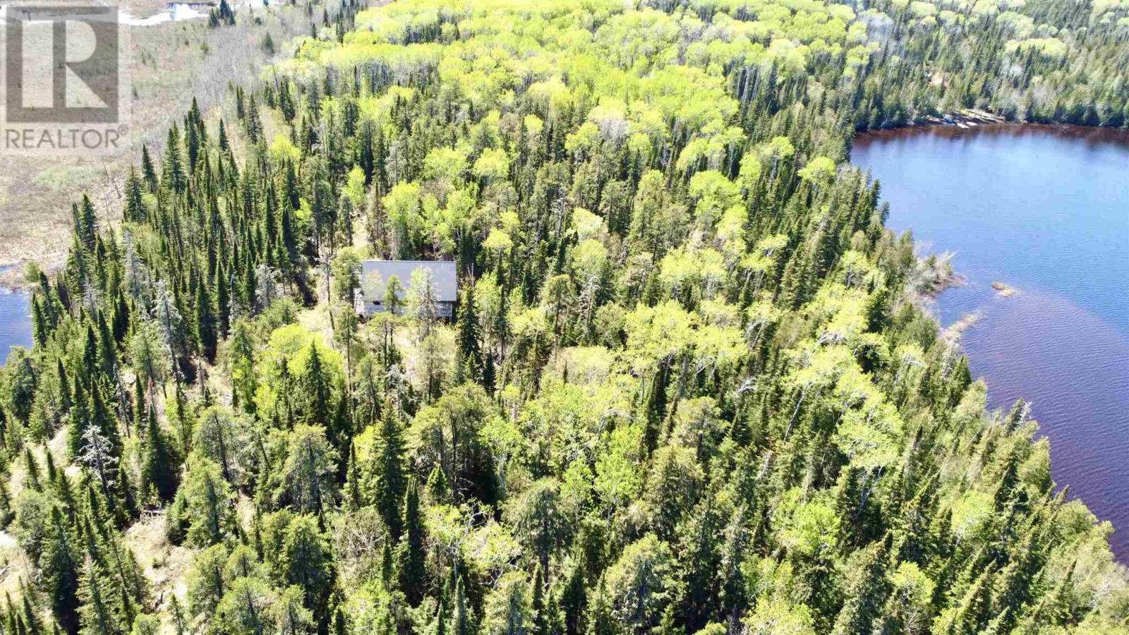 PCL 50 Dog Lake - 13
