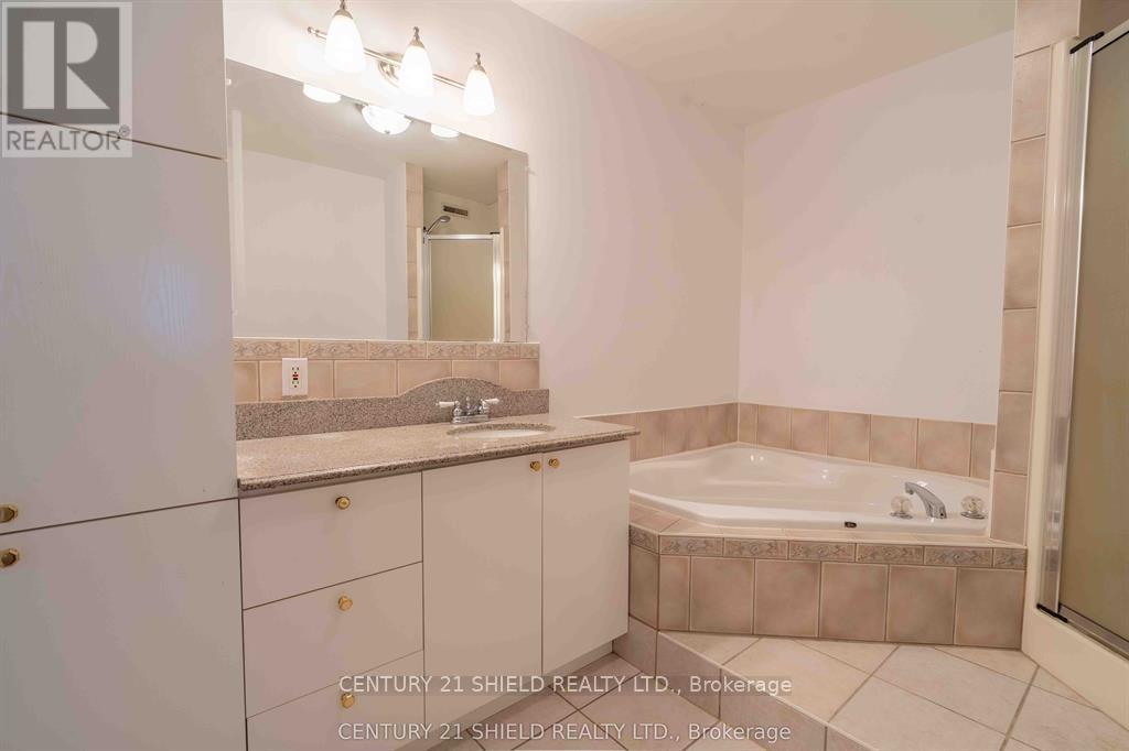 21255 MC NAUGHTON COURT - 12