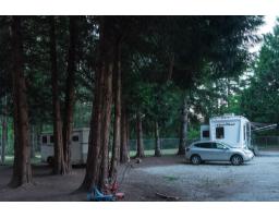 4994 240 Street, Langley, BC V2Z2M8 Photo 14