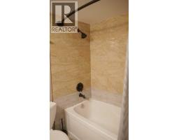 Furnace - 14606 118 Street, Edmonton, AB T9X1S5 Photo 9
