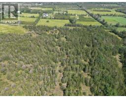1314 Lazier Road, Tyendinaga, ON K0K3A0 Photo 15