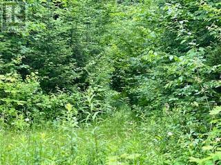 LOT 5 GEORGES ROAD, Bonfield — photo 3