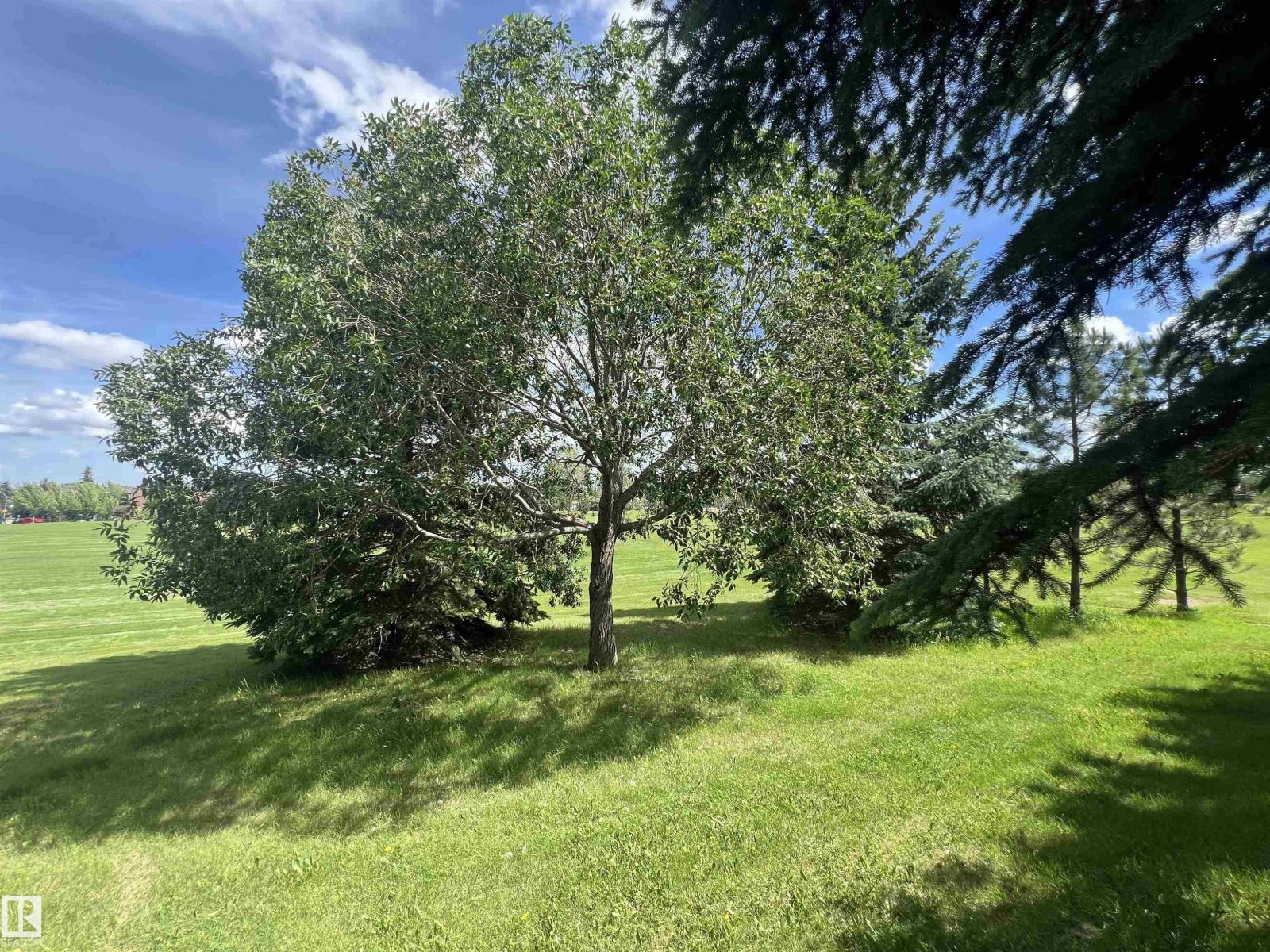 #18 6032 38 AV NW - 44