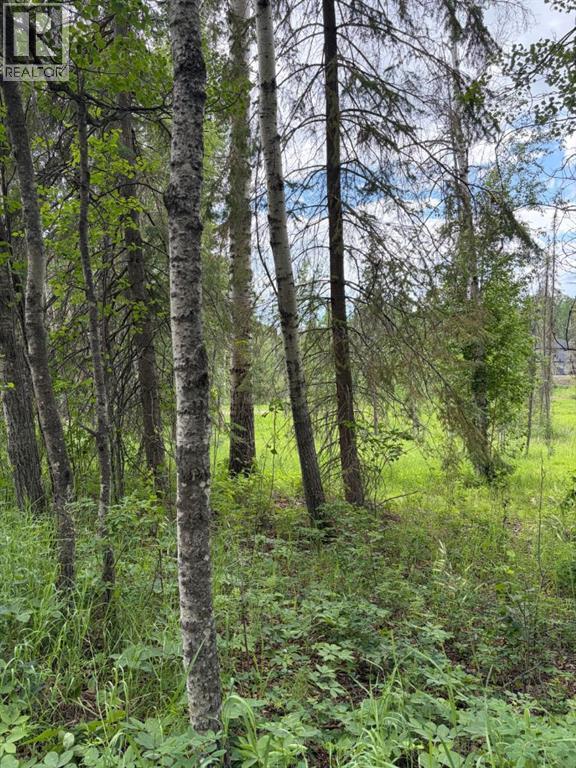 Lot 20 Block 1 — photo 9