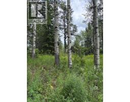 Lot 20 Block 1, Rural Grande Prairie No  1, County Of, AB T8W5K2 Photo 7