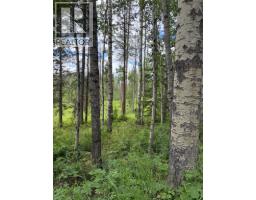 Lot 20 Block 1, Rural Grande Prairie No  1, County Of, AB T8W5K2 Photo 8