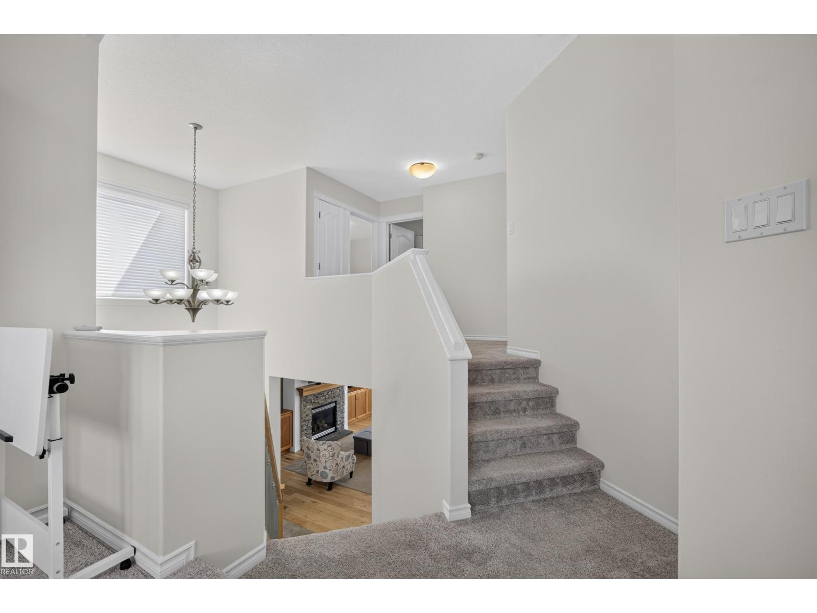 101 RIDGEBROOK CL — photo 19