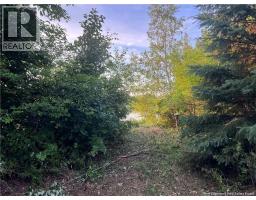Lot 16-18 Aleesha Court, Bass River, NB E4T3Z1 Photo 7