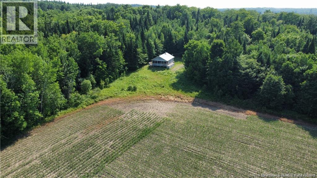 438 Sharkey Road - 21