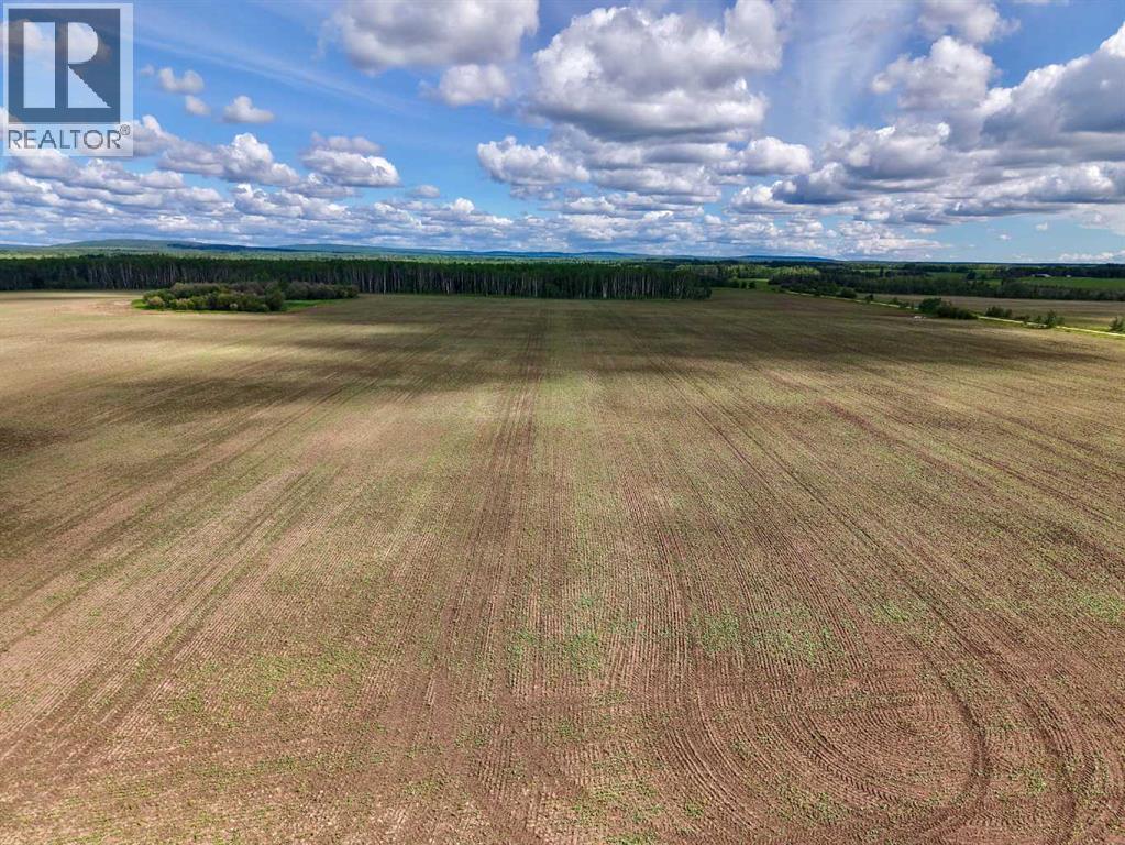260006 Hwy 689  N - photo 3